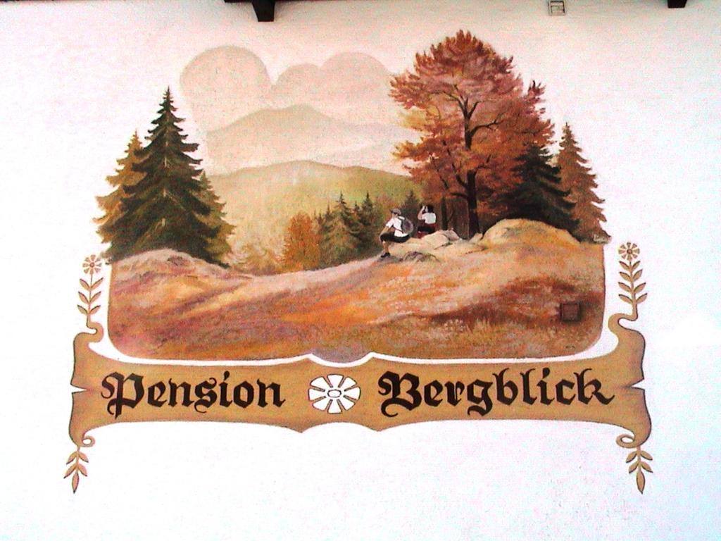 Pension Bergblick Bayerisch Eisenstein Bagian luar foto